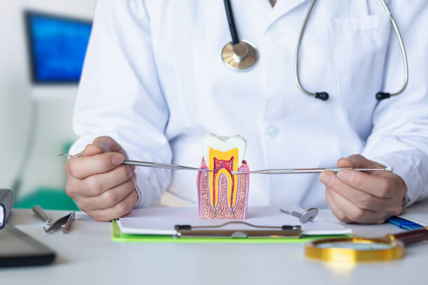 Best Dental Abscess Treatment in Edgewood, TX